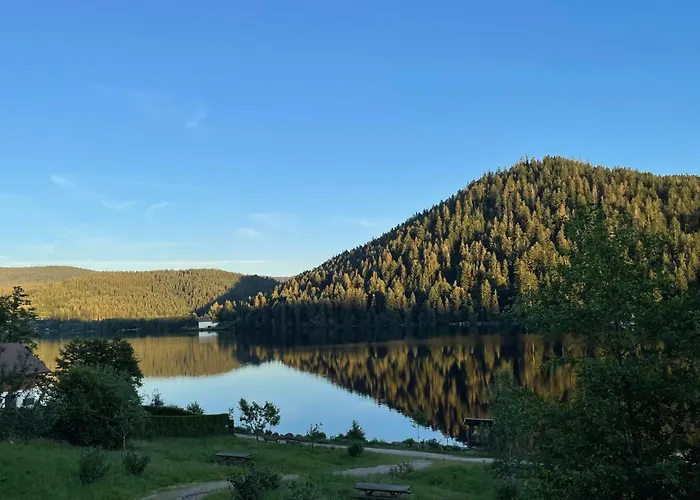 Et Montagne Gerardmer